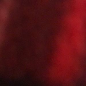 Meet your Posher, Caleb